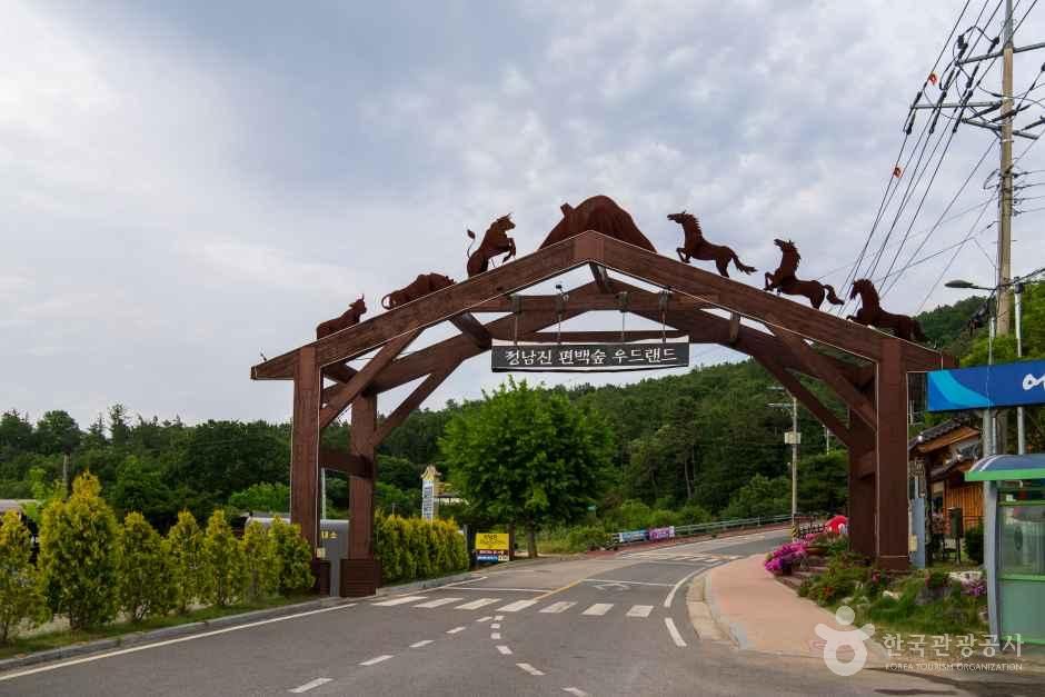 [예스키즈존] 정남진 편백숲 우드랜드