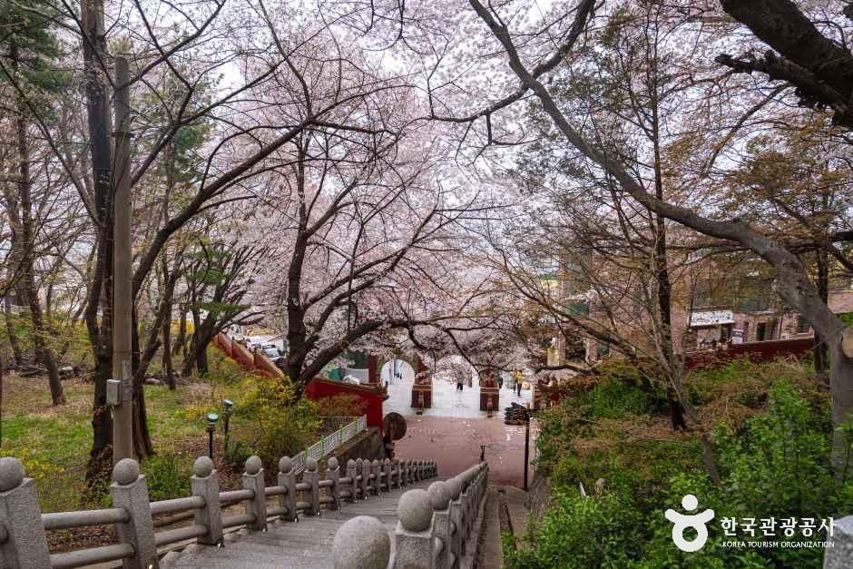 yeskids 1783456522 653 예스키즈존 탐험대 : 실패 없는 육아여행