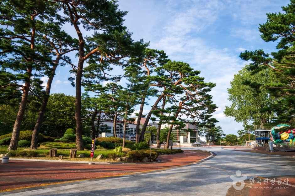 [예스키즈존] 울진 왕피천 공원