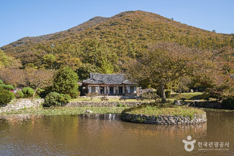 [예스키즈존] 진도 운림산방