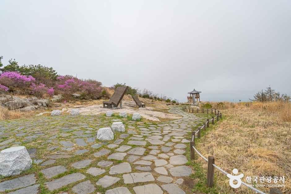 [예스키즈존] 팔공산국립공원(군위군)