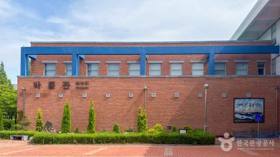 [예스키즈존] 국립군산대학교 박물관