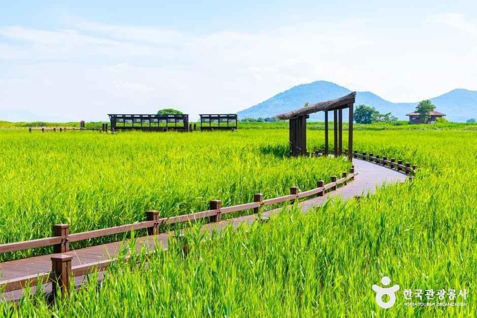 [예스키즈존] 순천만습지