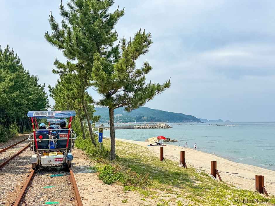 [예스키즈존] 삼척 해양레일바이크