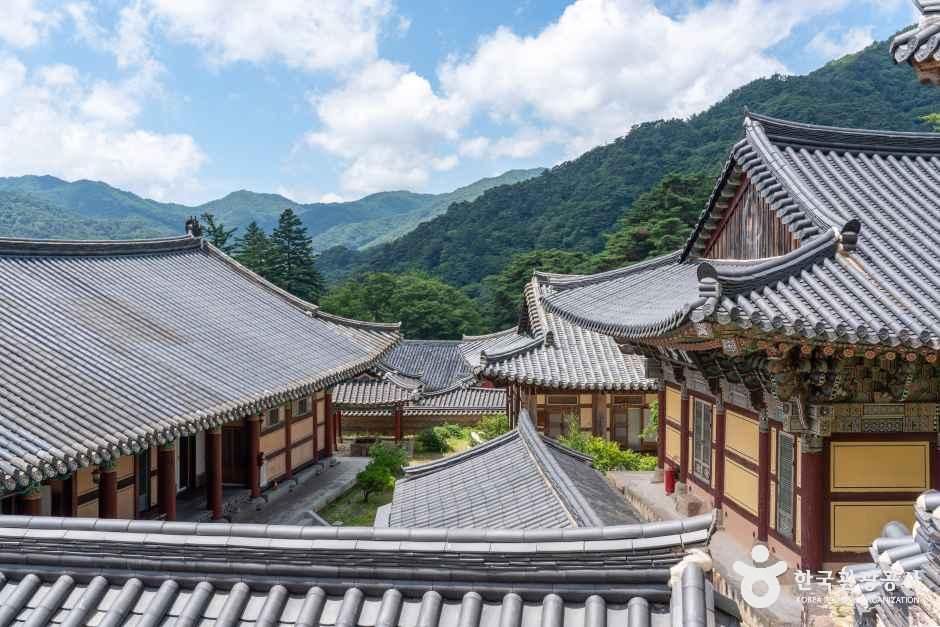 [예스키즈존] 해인사(합천)