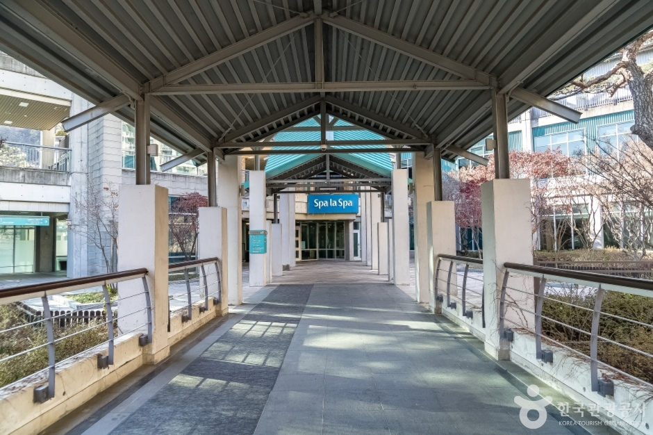 [예스키즈존] 스파라스파 (곤지암리조트)