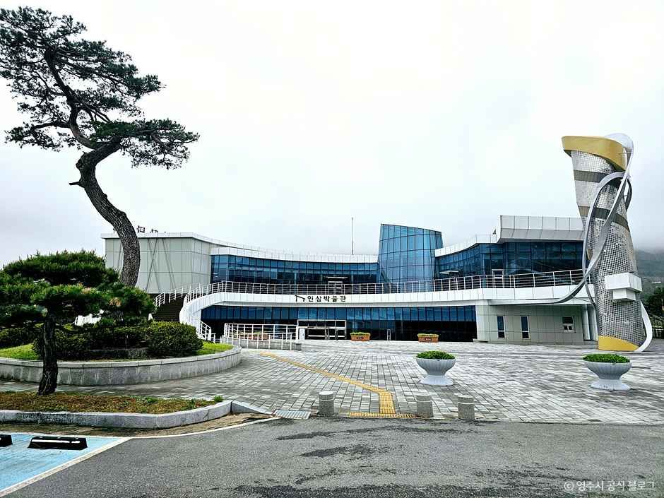 [예스키즈존] 인삼박물관