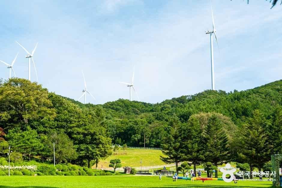 [예스키즈존] 대관령 하늘목장