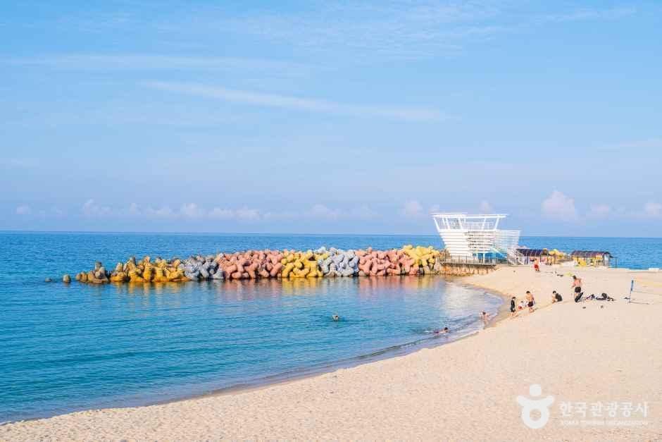 [예스키즈존] 사근진해변(사근진해수욕장)