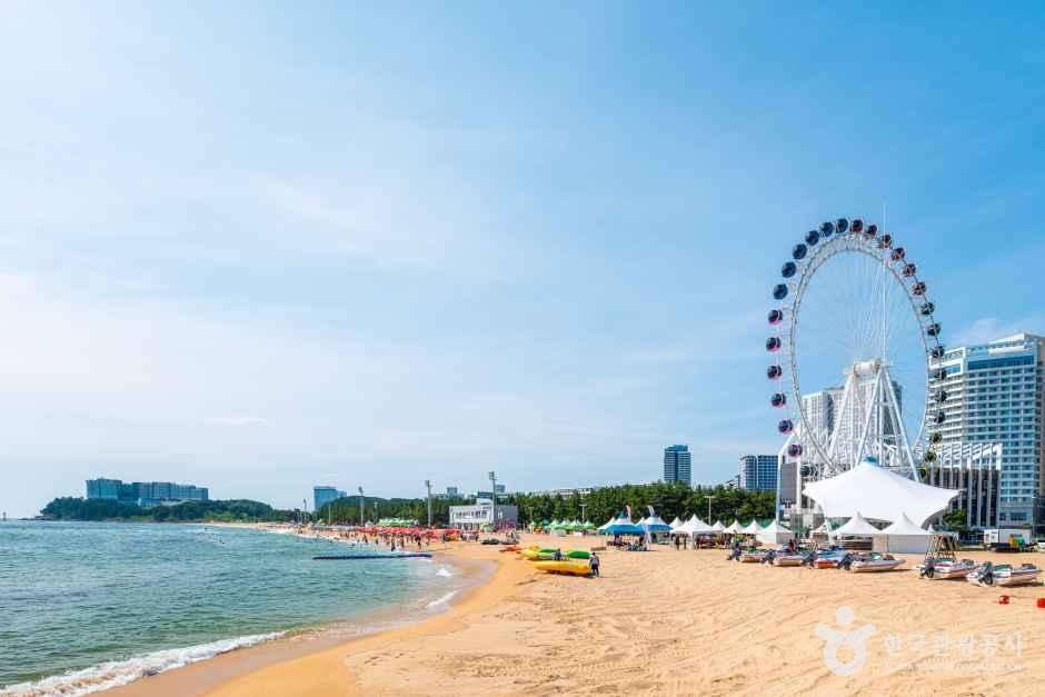 [예스키즈존] 속초해수욕장
