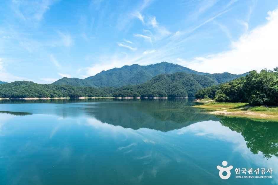 [예스키즈존] [횡성호수길] 5구간