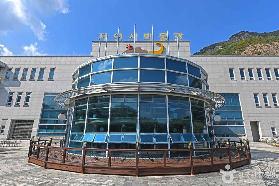 [예스키즈존] 한국자연사박물관