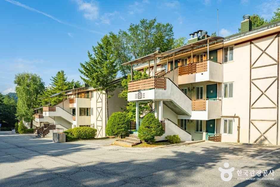 [예스키즈존] 모나용평 빌라콘도