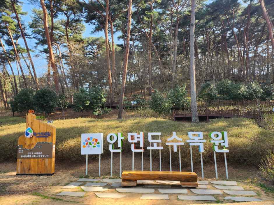 [예스키즈존] 안면도수목원