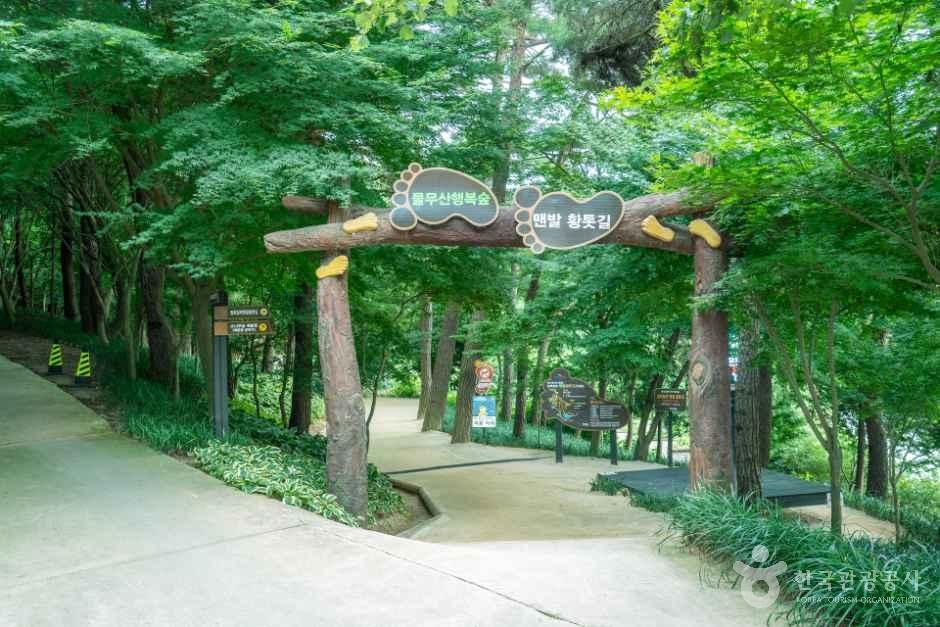 [예스키즈존] 물무산 행복숲