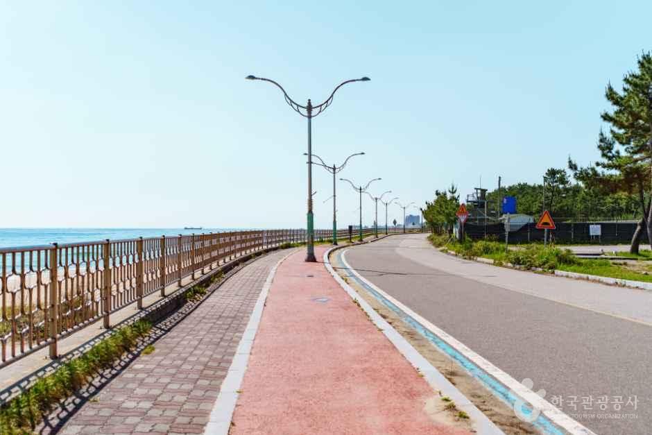 [예스키즈존] [해파랑길] 41코스