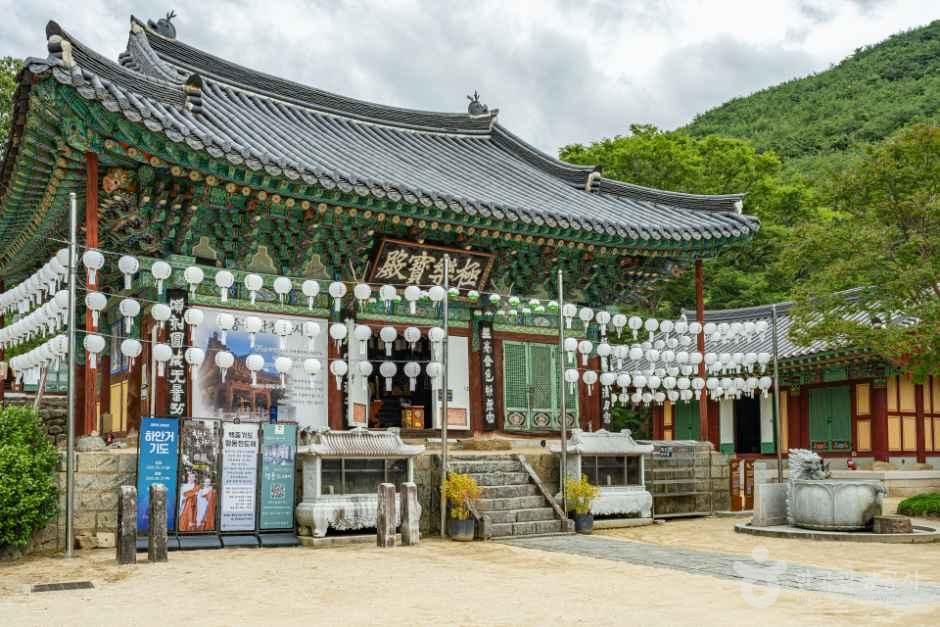 [예스키즈존] 천은사(구례)