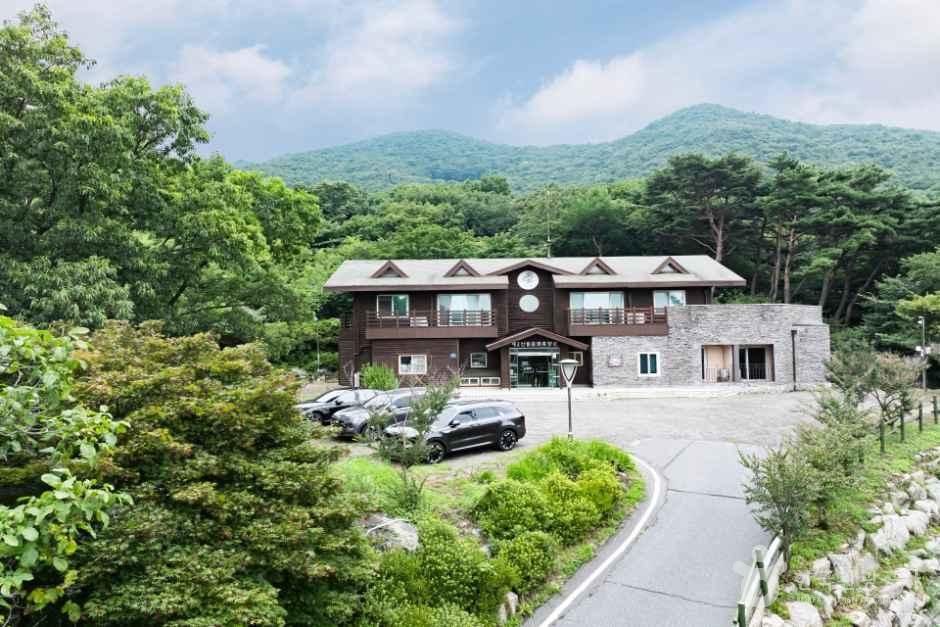[예스키즈존] 국립오서산자연휴양림