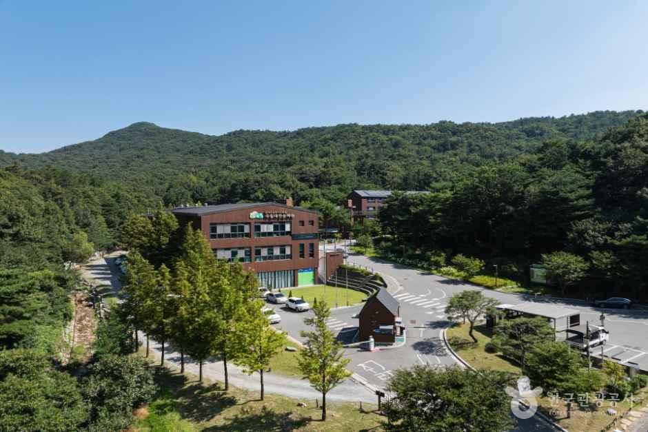 [예스키즈존] 국립대전숲체원