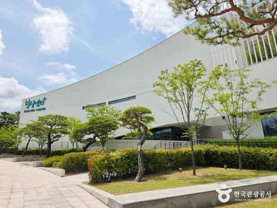 [예스키즈존] 레인보우힐링센터
