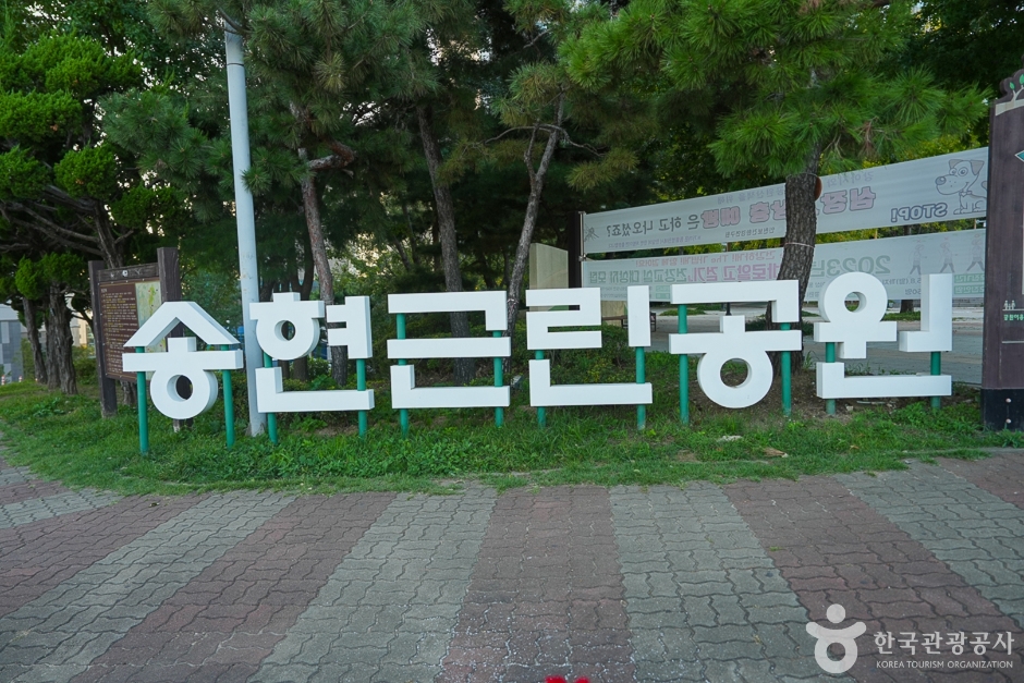 [예스키즈존] 송현근린공원