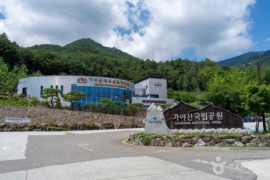 [예스키즈존] 가야산역사신화테마관