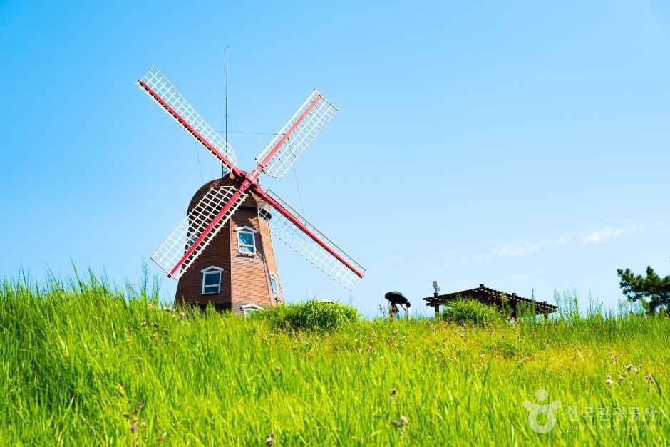 [예스키즈존] 바람의 언덕