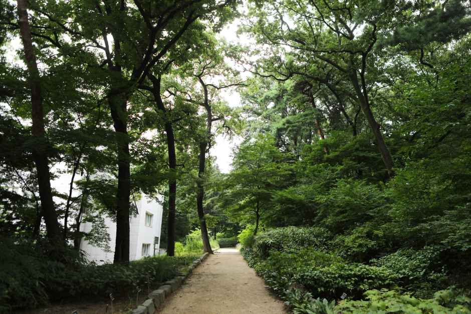 [예스키즈존] 국립산림과학원(홍릉시험림)
