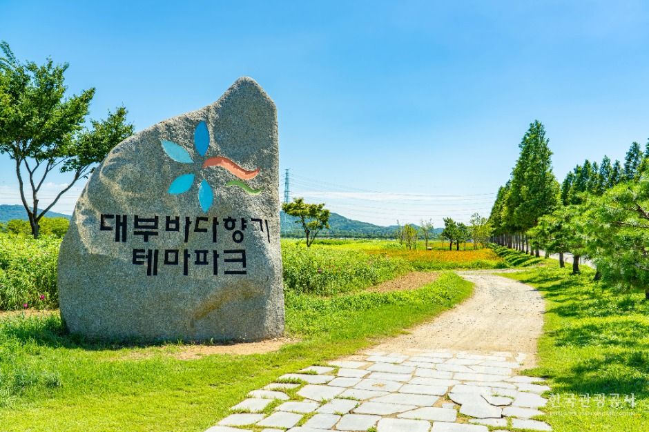 [예스키즈존] 대부바다향기테마파크