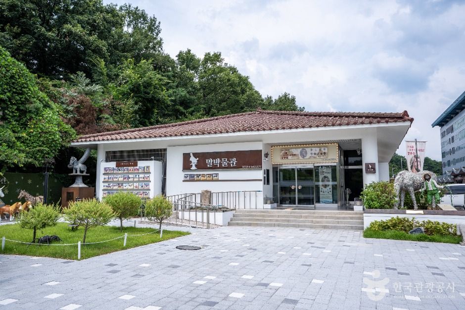 [예스키즈존] 렛츠런파크 서울 말박물관