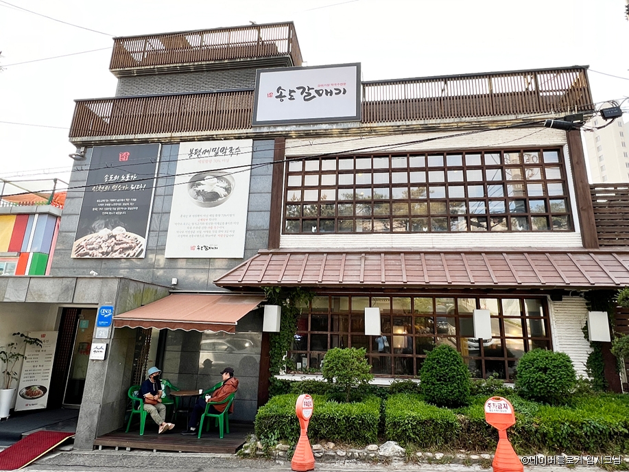 [예스키즈존] 송도갈매기