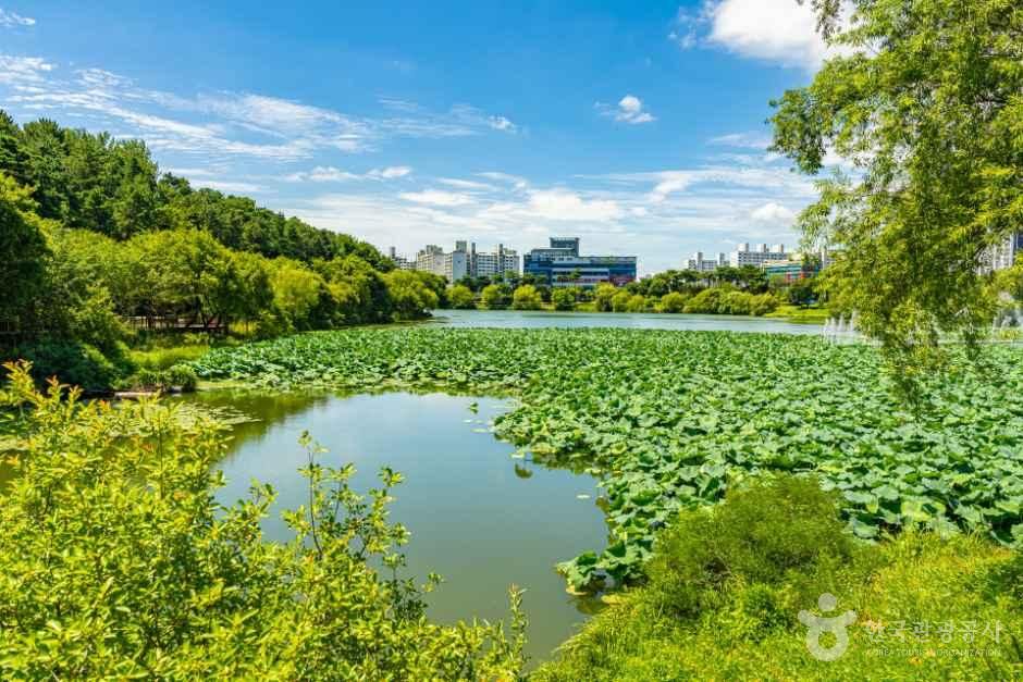 [예스키즈존] 조례호수공원