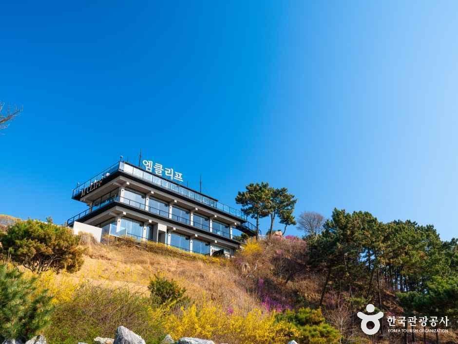 [예스키즈존] 엠클리프