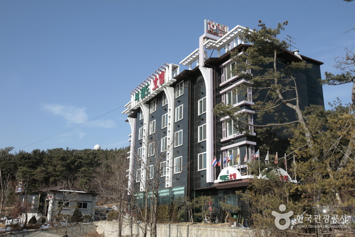 [예스키즈존] 씨월드관광호텔