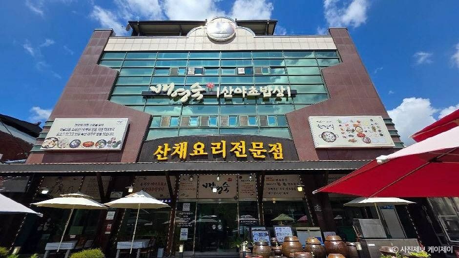 [예스키즈존] 배영숙 산야초밥상