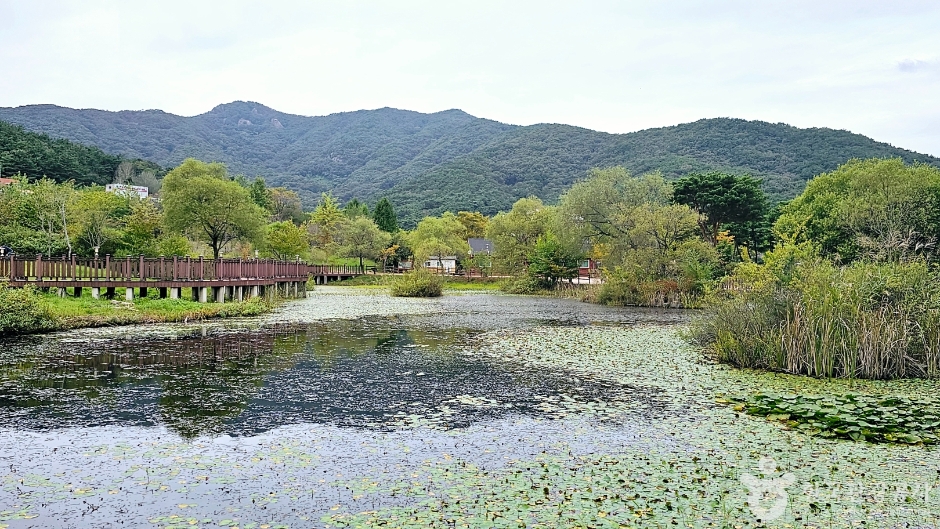[예스키즈존] 선운산 생태숲