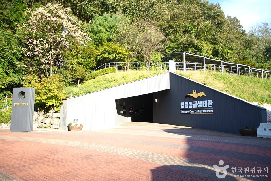 [예스키즈존] 영월동굴생태관