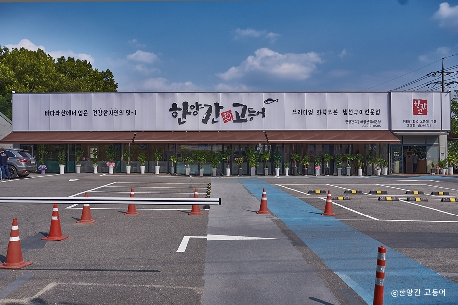 [예스키즈존] 한양간 고등어