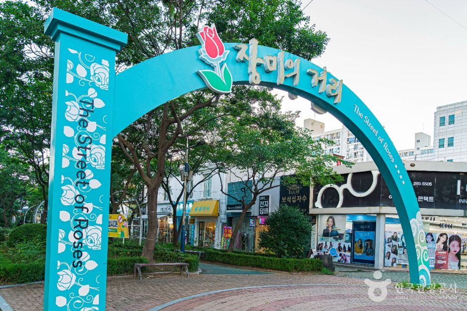 [예스키즈존] 장미의거리