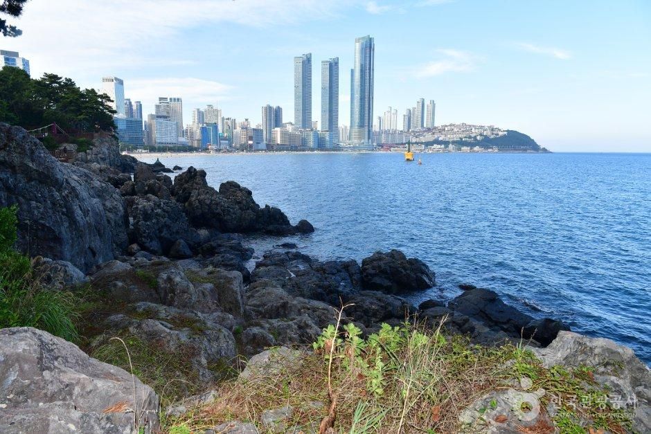 [예스키즈존] 해운대 동백섬