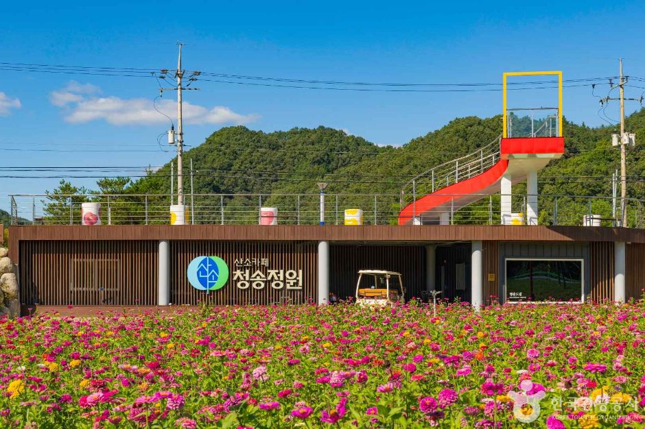 [예스키즈존] 산소카페 청송정원