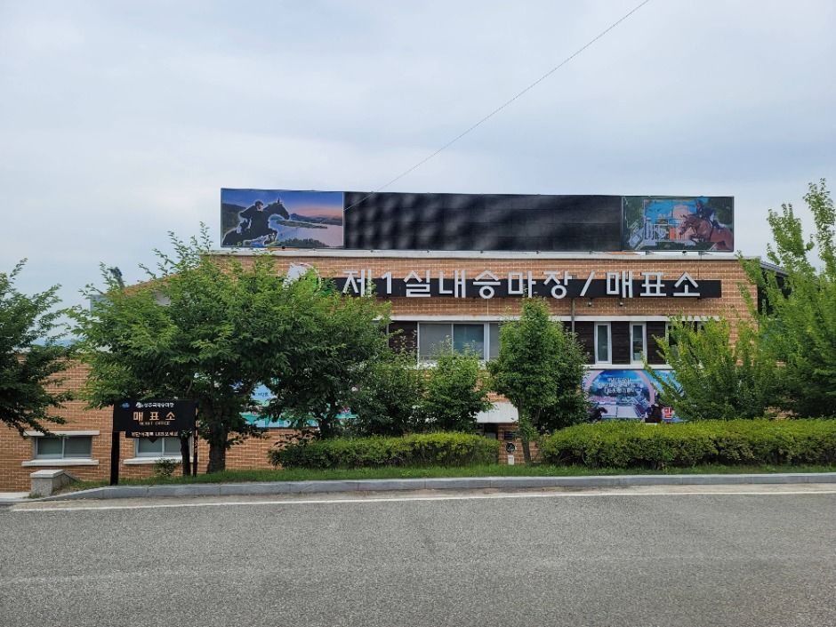 [예스키즈존] 상주국제승마장