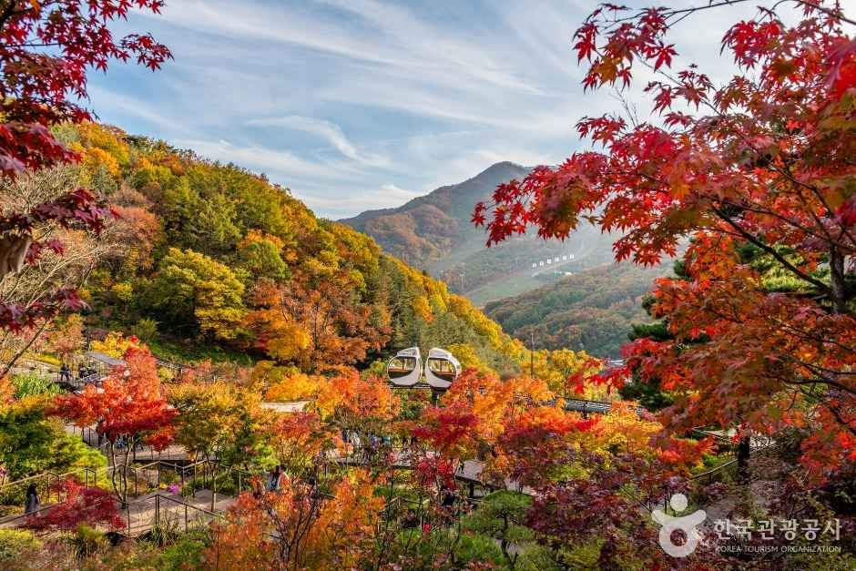 [예스키즈존] 화담숲