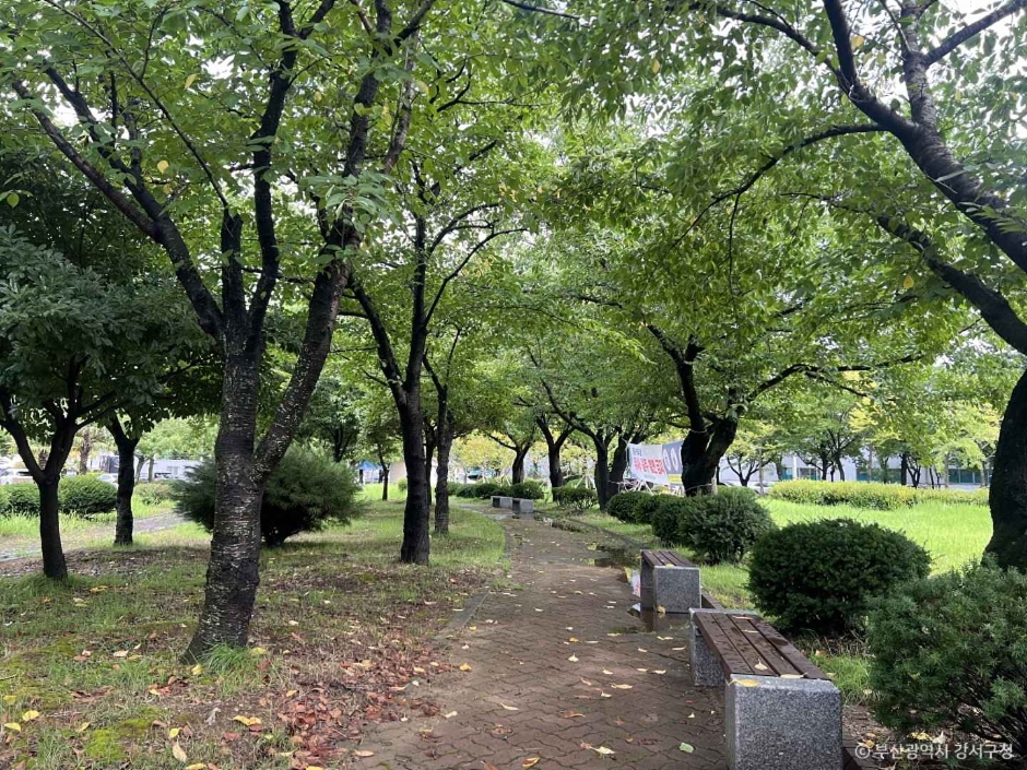 [예스키즈존] 보람공원