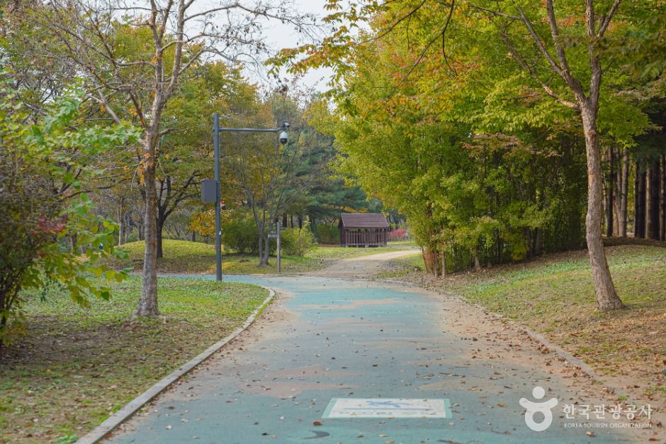 [예스키즈존] 난지천공원