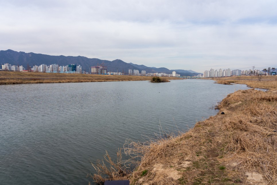 [예스키즈존] 가산수변공원