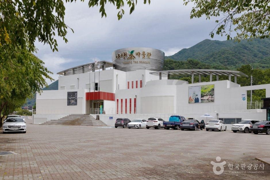 [예스키즈존] 하동야생차박물관