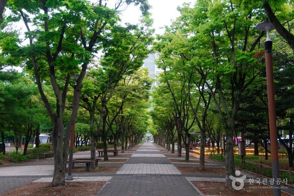 [예스키즈존] 보라매공원(대전)