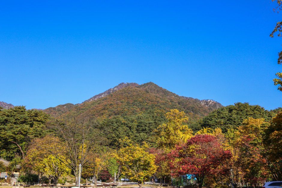 [예스키즈존] 용문산