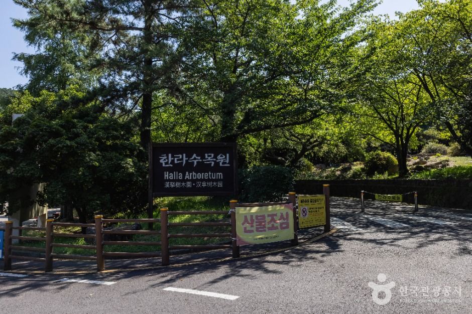 [예스키즈존] 한라수목원